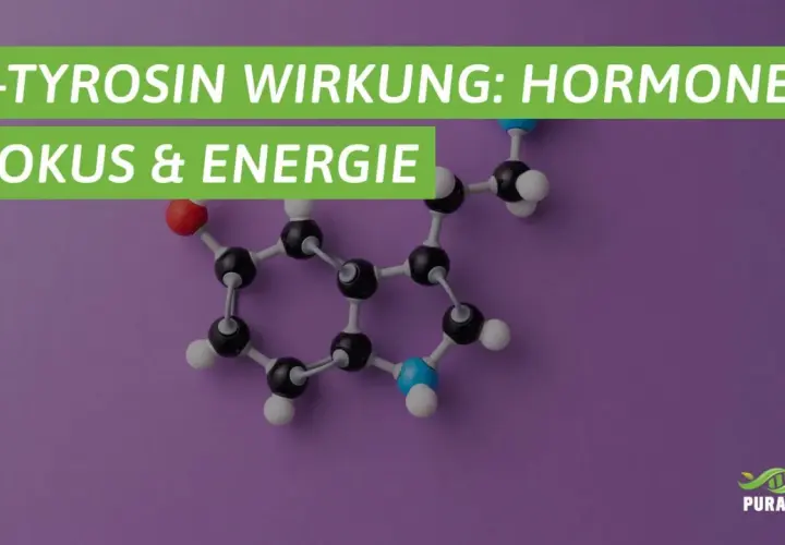 L-Tyrosin: was ist Tyrosin? Die Aminosäure ist wichtig für Hormone, Fokus & Energie. Molekülstruktur im Bild.
