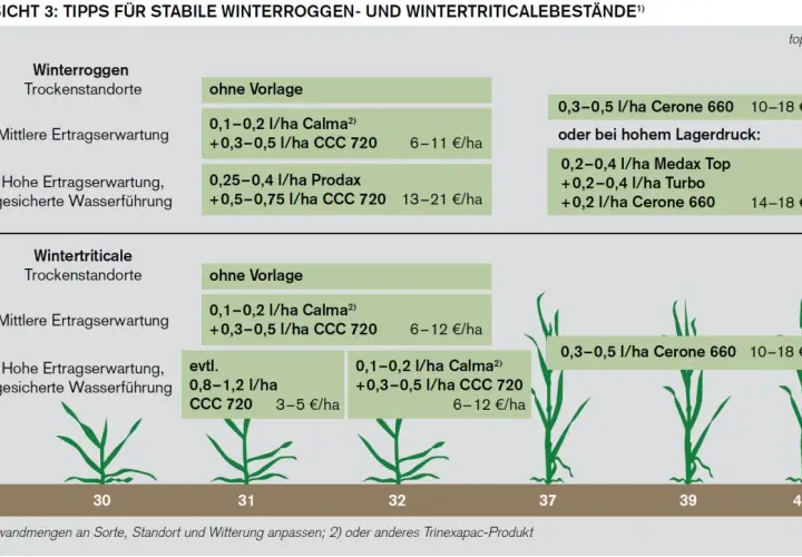 Übersicht zu Wachstumsregler Weizen: Empfehlungen für Winterroggen und Wintertriticale je nach Ertragserwartung und Wasserführung.