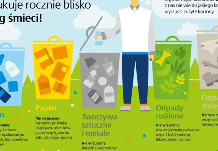 Gdzie wyrzucić karton? Kompletny poradnik segregacji odpadów