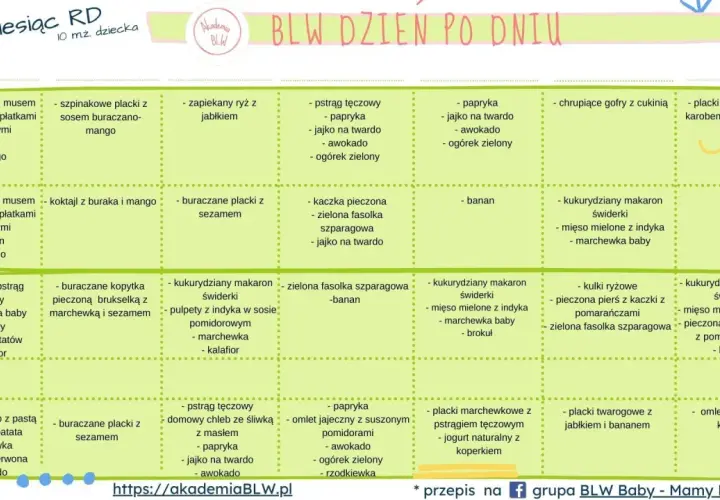 Tabela z propozycjami posiłków dla niemowląt od 5 miesiąca, uwzględniająca blw od kiedy. Znajdziesz tu pomysły na śniadania, obiady i kolacje.