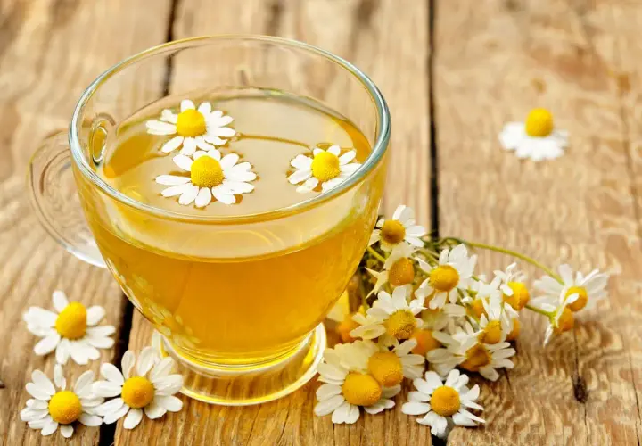 Une tasse de tisane dorée avec des fleurs de camomille flottantes, entourée de fleurs fraîches. Un rappel des bienfaits apaisants de la camomille.