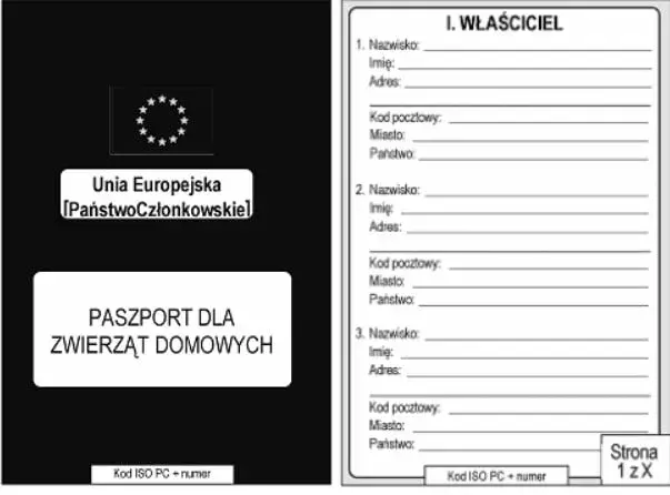 Paszport dla psa: Jak wyrobić krok po kroku? [Poradnik]