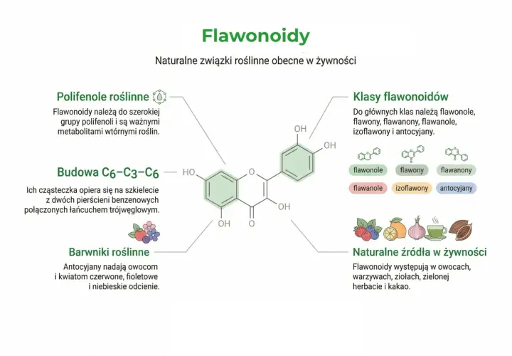 Bioflawonoidy co to? To naturalne związki roślinne, występujące w owocach, warzywach, ziołach, herbacie i kakao.