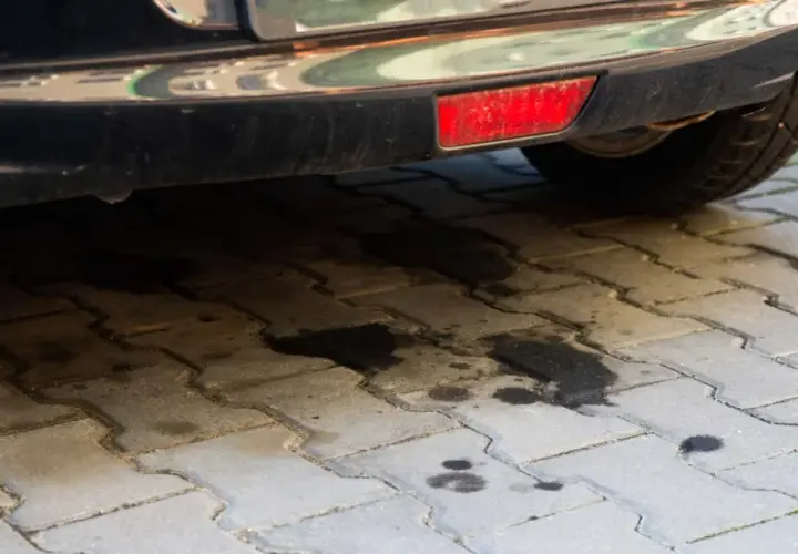 Cieknąca maglownica w Sharanie? Regeneracja to klucz do spokoju!