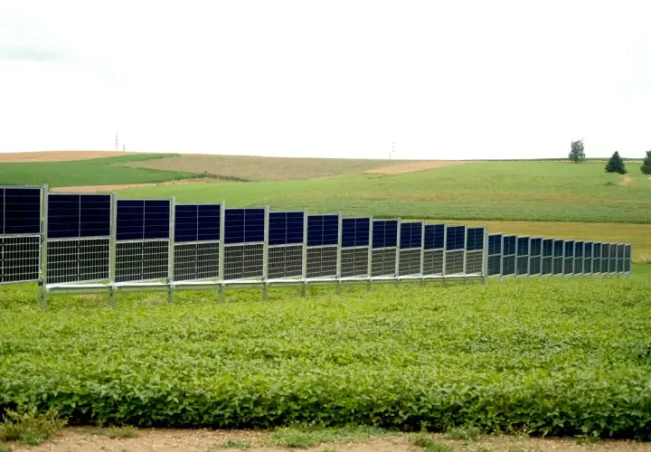 Reihe von Agri-PV-Modulen auf einer grünen Weide, die sich über sanfte Hügel erstreckt.