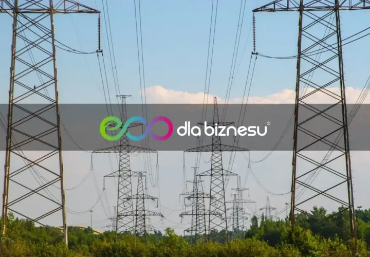 Wysokie słupy energetyczne na tle błękitnego nieba. Logo "dla biznesu" sugeruje, że warto sprawdzić, ile kosztuje kWh.