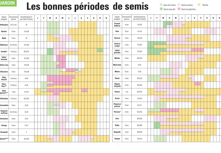 Calendrier des semis de céréales et légumes : Semis sous abri, en place, en pépinière et récolte pour de nombreuses espèces potagères.