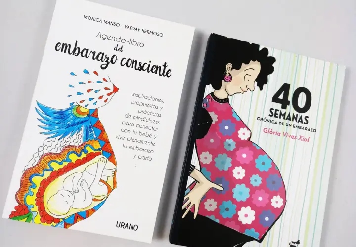 Dos libros sobre el embarazo: "Agenda-libro del embarazo consciente" y "40 semanas, crónica de un embarazo". Son como cuentos para adolescentes que esperan un bebé.