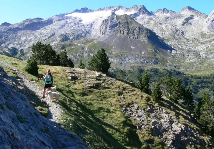 Senderista con dos perros blancos en la ruta de la Maladeta, con imponentes montañas nevadas de fondo.
