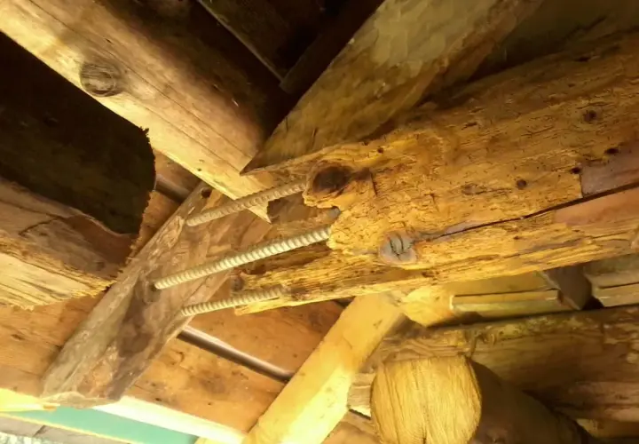 Poutre en bois vermoulue, soutenue par des tiges filetées. Le prix pour changer une poutre pourrie est une préoccupation majeure pour la rénovation.
