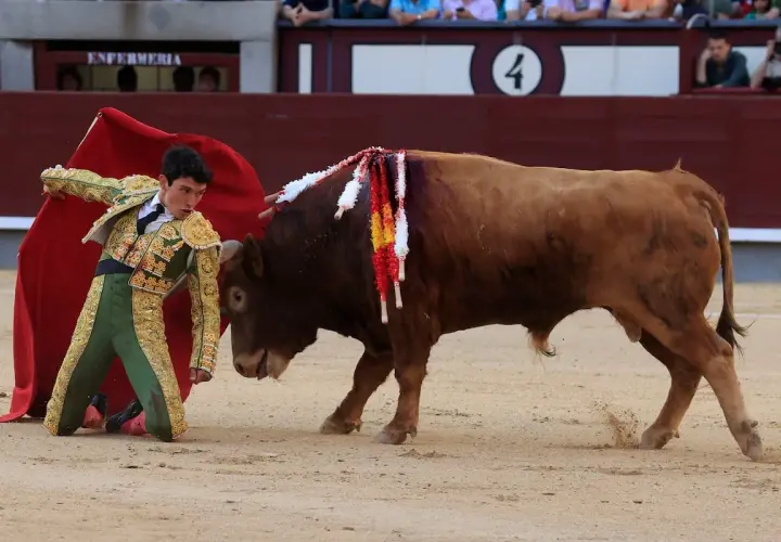 Isaac Fonseca, torero, se arrodilla ante un toro bravo en la arena.