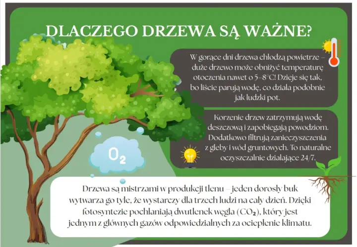 Drzewo ekologiczne, symbol życia i czystego powietrza, ochładza otoczenie, filtruje wodę i pochłania CO2.
