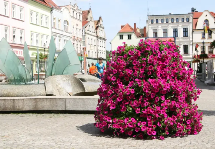 Kwietnik kaskadowy jak zrobić - proste kroki do pięknej aranżacji