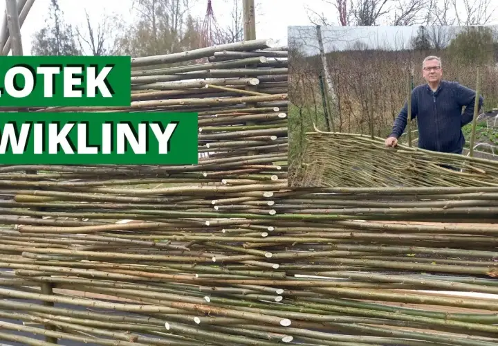 Jak zrobić płot z wikliny: proste kroki i skuteczne porady
