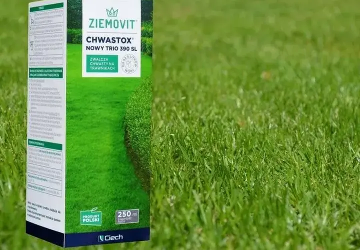 Skuteczne zwalczanie chwastów w trawniku z Chwastox Trio 390 SL
