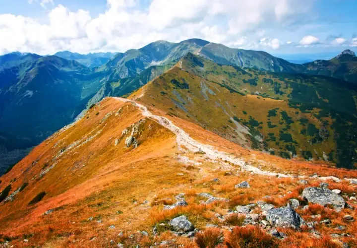 Szlak wiodący przez malownicze polskie góry Tatry, z jesienną trawą mieniącą się złotem i błękitnym niebem.