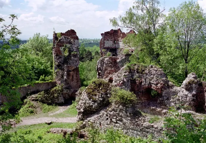 Ruiny zamku Tenczynek porośnięte zielenią, z fragmentami ceglanych murów i kamiennych pozostałości.