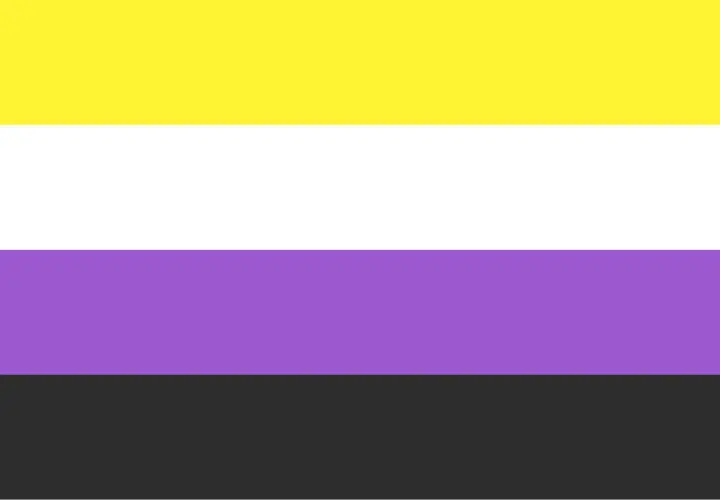 Bandiera non binaria: giallo, bianco, viola e nero. Rappresenta l'identità di genere che non rientra nelle categorie di uomo o donna, un significato di inclusione.