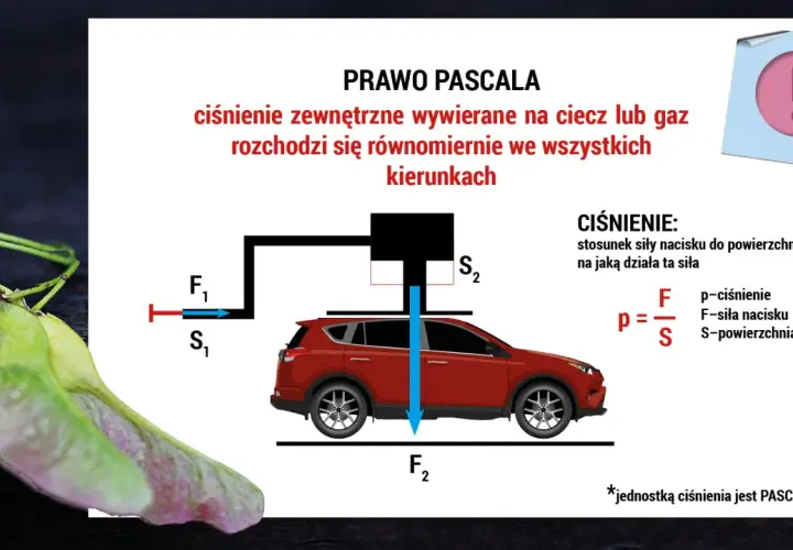 Ilustracja Prawa Pascala: ciśnienie rozchodzi się równomiernie. Wzór p=F/S pokazuje zależność ciśnienia od siły nacisku.