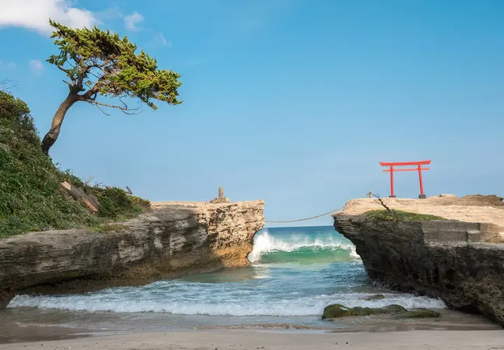Skaliste wybrzeże nad Morzem Japońskim, z drzewem na klifie i czerwoną bramą torii na skale.