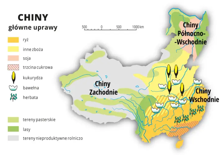 Mapa pokazuje główne uprawy w Chinach, gdzie leżą pola ryżu, kukurydzy, soi i bawełny.