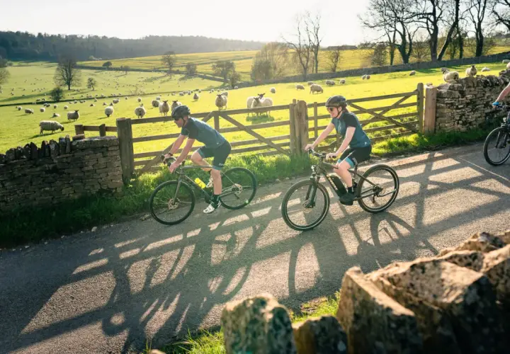 Two cyclists enjoy a scenic ride, cycling in the Cotswolds with sheep grazing in a sun-drenched field beside a stone wall.