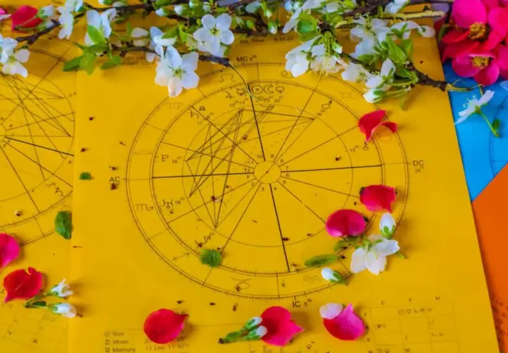 Wesołe znaki zodiaku na żółtym tle, ozdobione płatkami róż i kwitnącymi gałązkami.