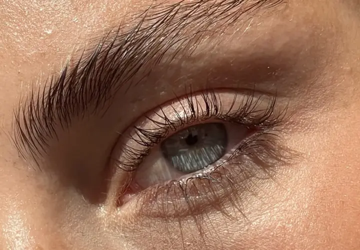 Närbild på ett öga med mörka ögonfransar och bryn. Kanske dags att ta bort lashlift?