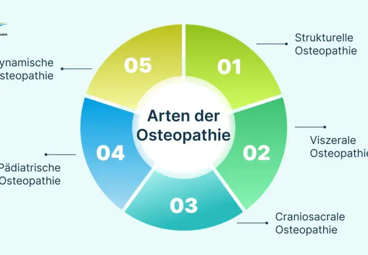 Infografik zeigt verschiedene Osteopathie-Arten: Strukturelle, Viszerale, Craniosacrale, Pädiatrische und Biodynamische. Wann geht man zum Osteopathen? Bei Beschwerden in diesen Bereichen.