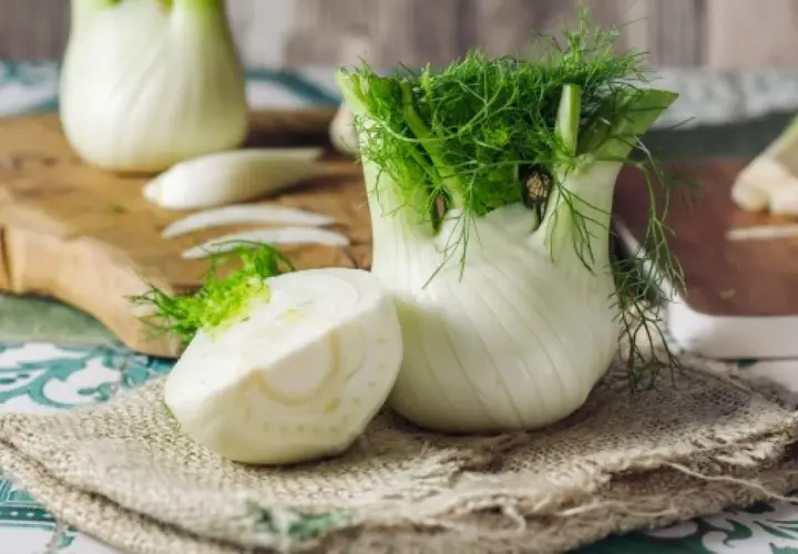Świeży koperkowy fenchel po polsku, z zielonymi liśćmi i przekrojonym bulwiastym korzeniem, gotowy do kuchni.