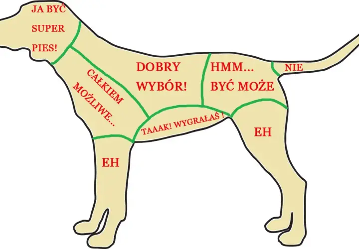 Mapa pokazuje, gdzie psy lubią być głaskane: od "Super pies!" na głowie po "Nie" na ogonie.