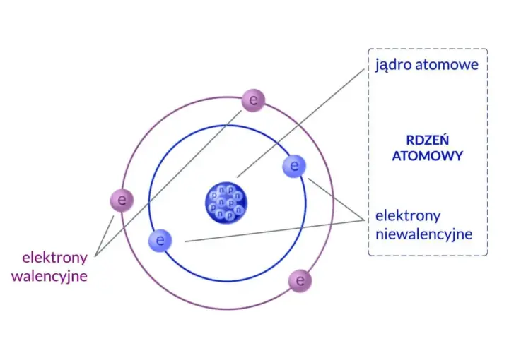 Z czego zbudowany jest atom? Przewodnik po świecie cząstek