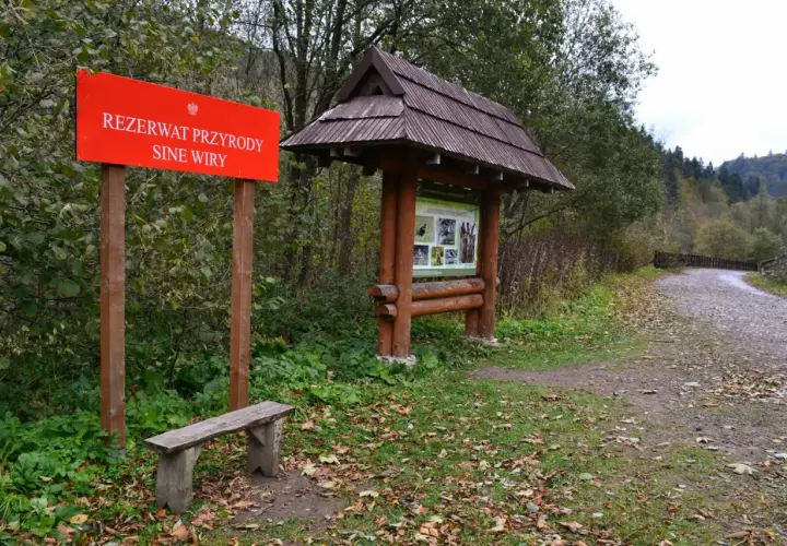 Czerwony znak "Rezerwat Przyrody Sine Wiry", drewniana wiata z informacjami, ławka i droga leśna.