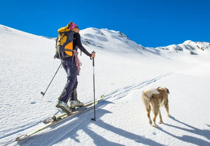 Kobieta na nartach z psem wyrusza na ski alpinizm. Słońce, śnieg i błękitne niebo tworzą idealne warunki do górskiej przygody.