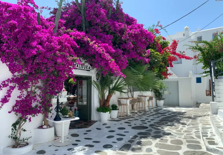 Najlepsze atrakcje na Mykonos, które musisz zobaczyć podczas wizyty