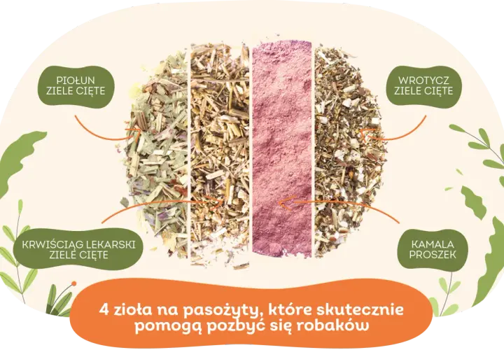Czym odrobaczać psa? Skuteczne metody i naturalne alternatywy