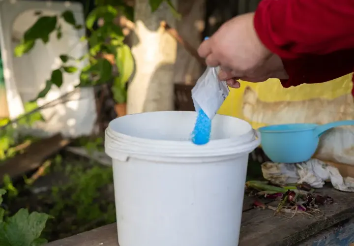 Une main verse une poudre bleue dans un seau blanc. C'est la préparation de la bouillie bordelaise pour protéger les plantes.