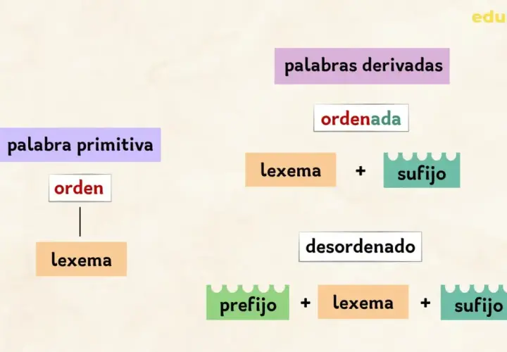 Diagrama que explica palabras derivadas: palabra primitiva "orden" y cómo se forman "ordenada" y "desordenado".