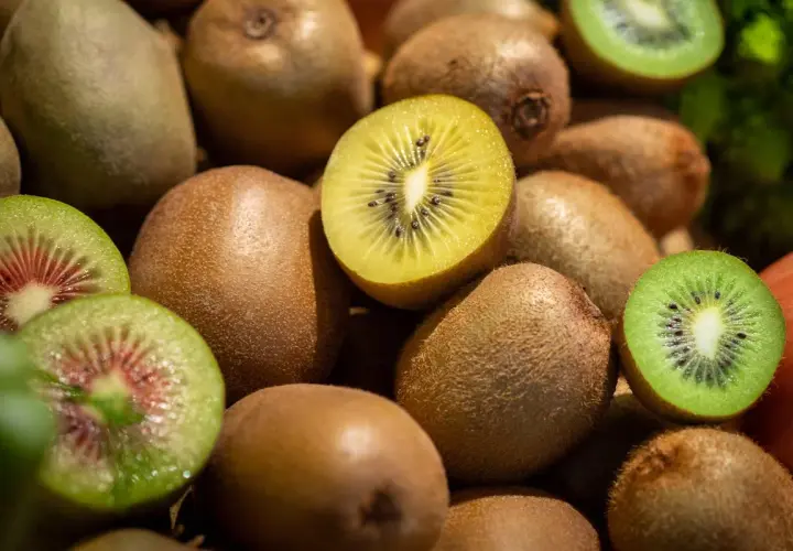 Ein Haufen Kiwis, einige ganz, andere aufgeschnitten, zeigen ihr grünes und gelbes Fruchtfleisch. Gut für den Schlaf, da sie Melatonin enthalten.