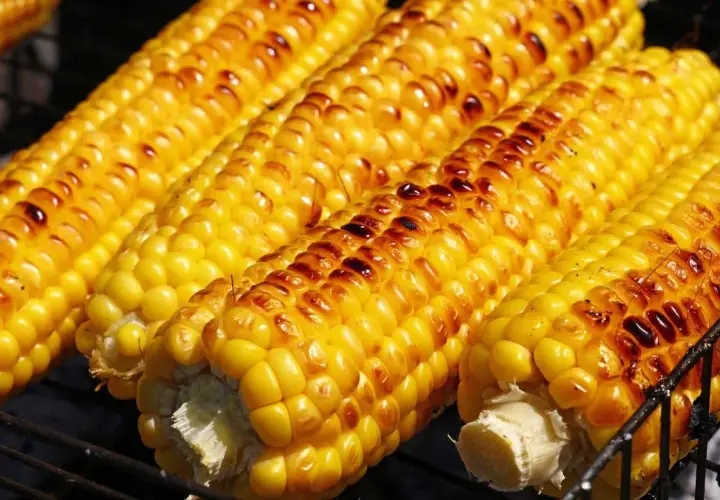 Pannocchie dorate e leggermente abbrustolite, pronte per essere gustate. Perfette cotte in friggitrice ad aria per un sapore unico.