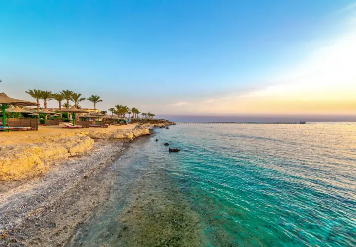 Piękna pogoda w Marsa Alam: piaszczysta plaża z palmami, leżakami i parasolami, turkusowe morze i długie molo na horyzoncie.