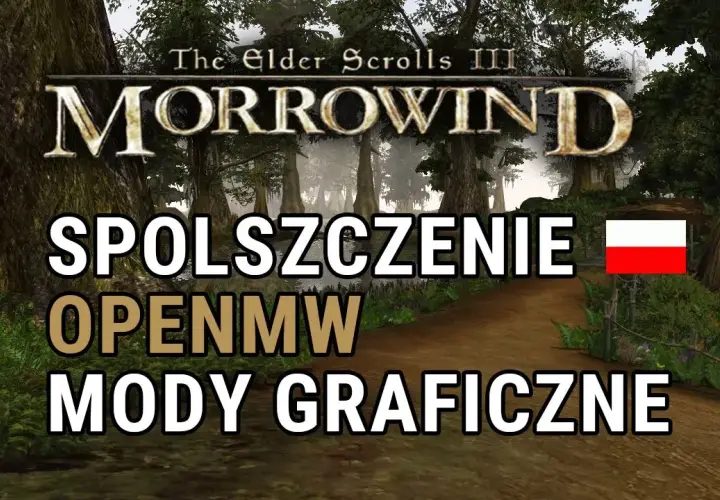 Jak zainstalować spolszczenie Morrowind - instrukcja krok po kroku + Dubbing