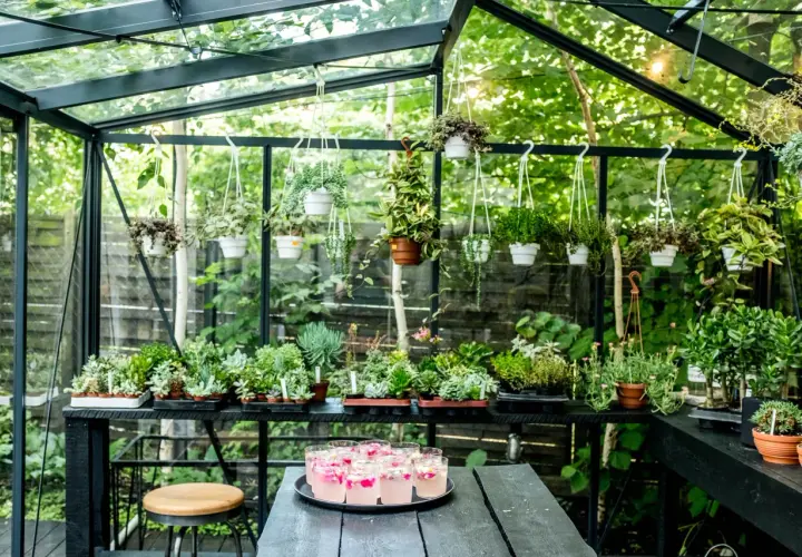  Restauracje z ogrodami w Warszawie | Sprawdź TOP10 i rezerwuj stolik już dziś!