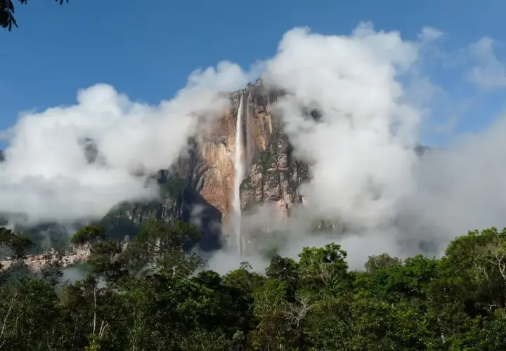 Der Salto Ángel, ein majestätischer Wasserfall, stürzt von einem Tafelberg, umgeben von Wolken und üppigem Dschungel.