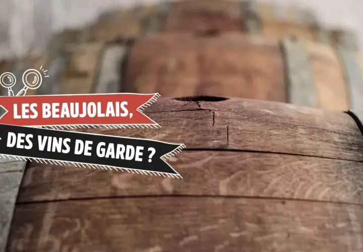 Des tonneaux de vin en bois, avec le texte "Les Beaujolais, des vins de garde ?". Combien de temps se garde un Beaujolais Village ?