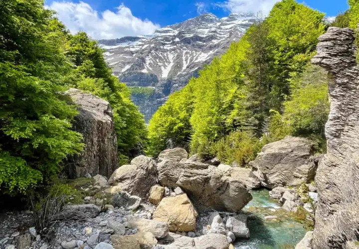 Río Cinca serpentea entre rocas y bosques frondosos, con picos nevados al fondo. Un paisaje idílico que evoca la majestuosidad de la cascada del Cinca.