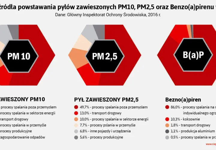 Z czego składa się smog? Poznaj toksyczny koktajl w Twoim powietrzu