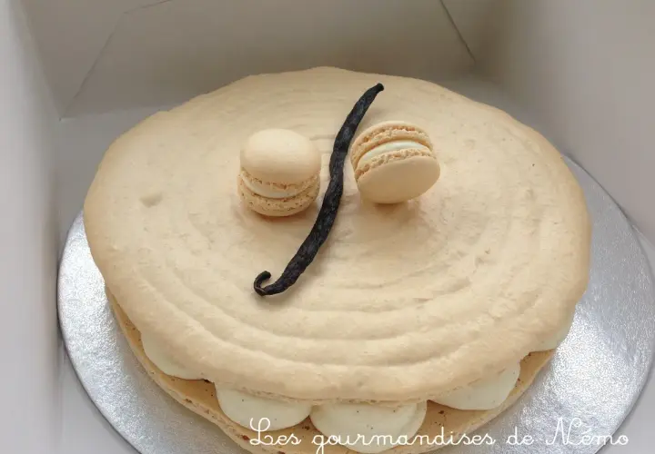 Un délicieux gâteau macaron à la vanille, orné de deux petits macarons et d'une gousse de vanille.