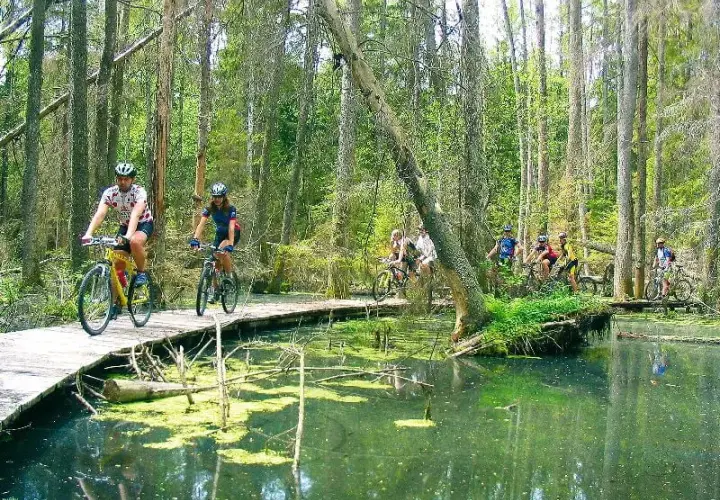Biebrzański Park Narodowy: najlepsze trasy rowerowe i ich atrakcje