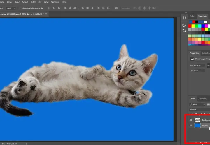 Jak zmienić kolor tła w Photoshopie - proste metody krok po kroku